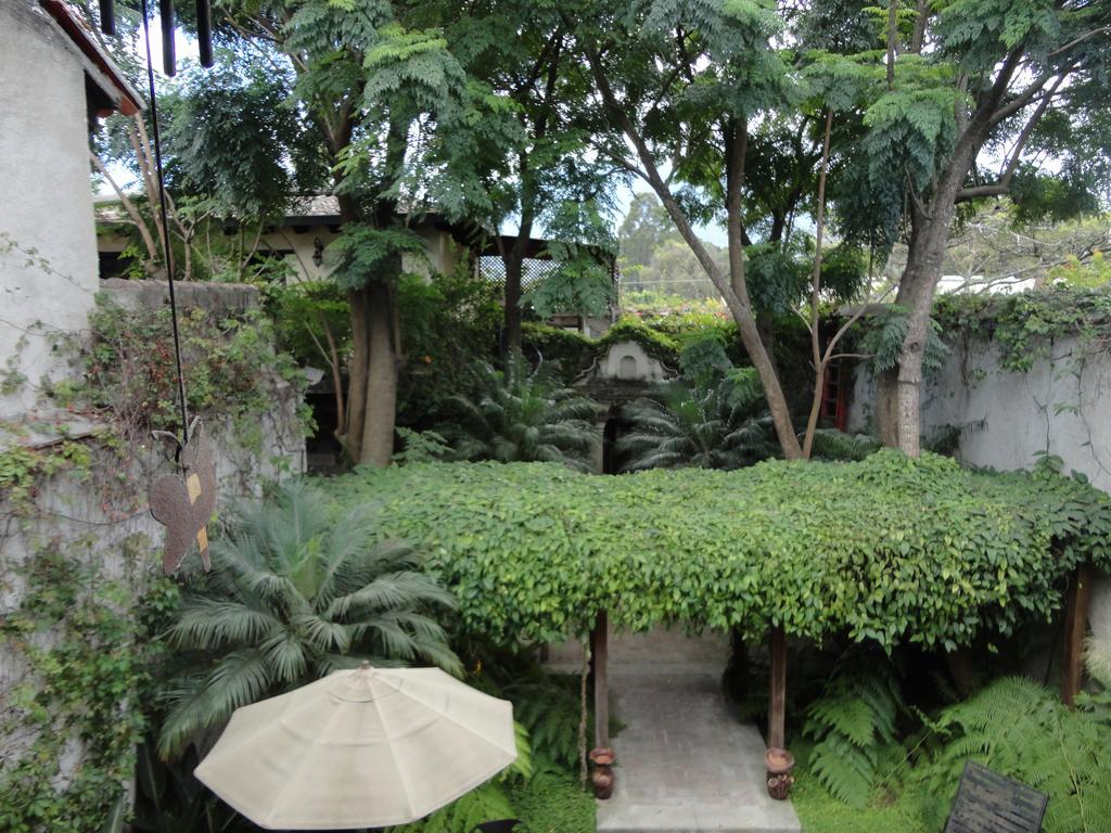 Cissus Hotel Boutique (Adults Only) Antigua Ngoại thất bức ảnh