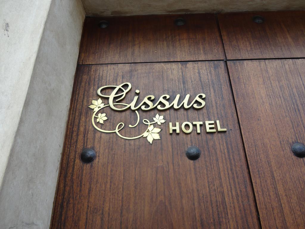 Cissus Hotel Boutique (Adults Only) Antigua Phòng bức ảnh