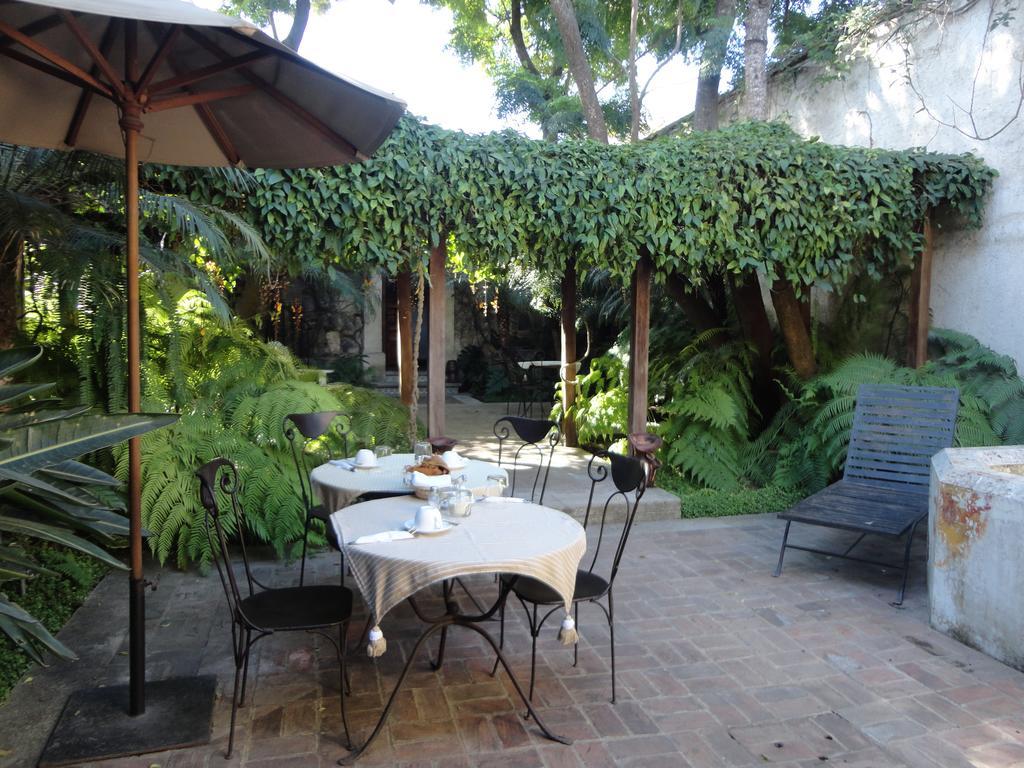Cissus Hotel Boutique (Adults Only) Antigua Ngoại thất bức ảnh