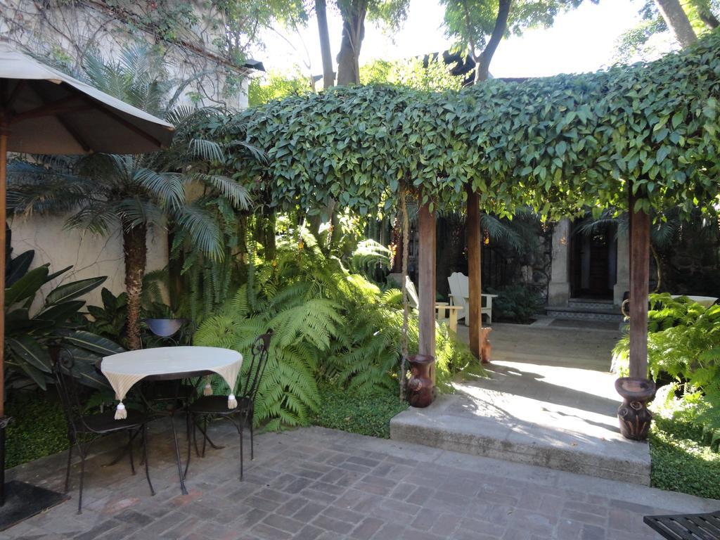 Cissus Hotel Boutique (Adults Only) Antigua Ngoại thất bức ảnh