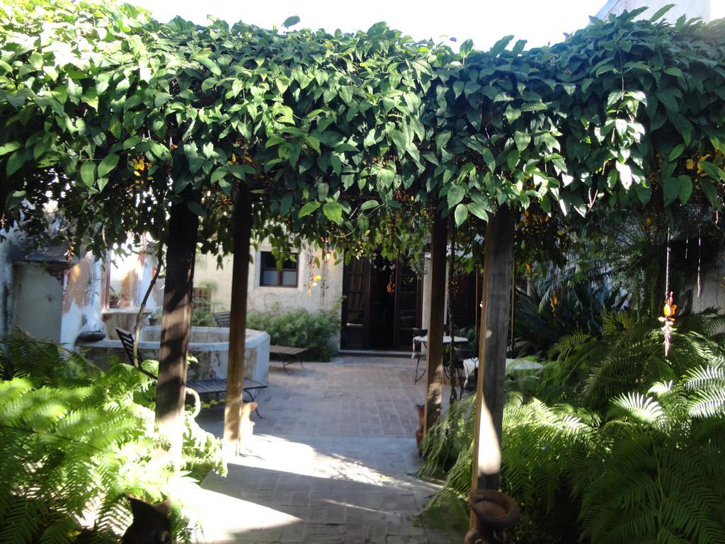 Cissus Hotel Boutique (Adults Only) Antigua Ngoại thất bức ảnh