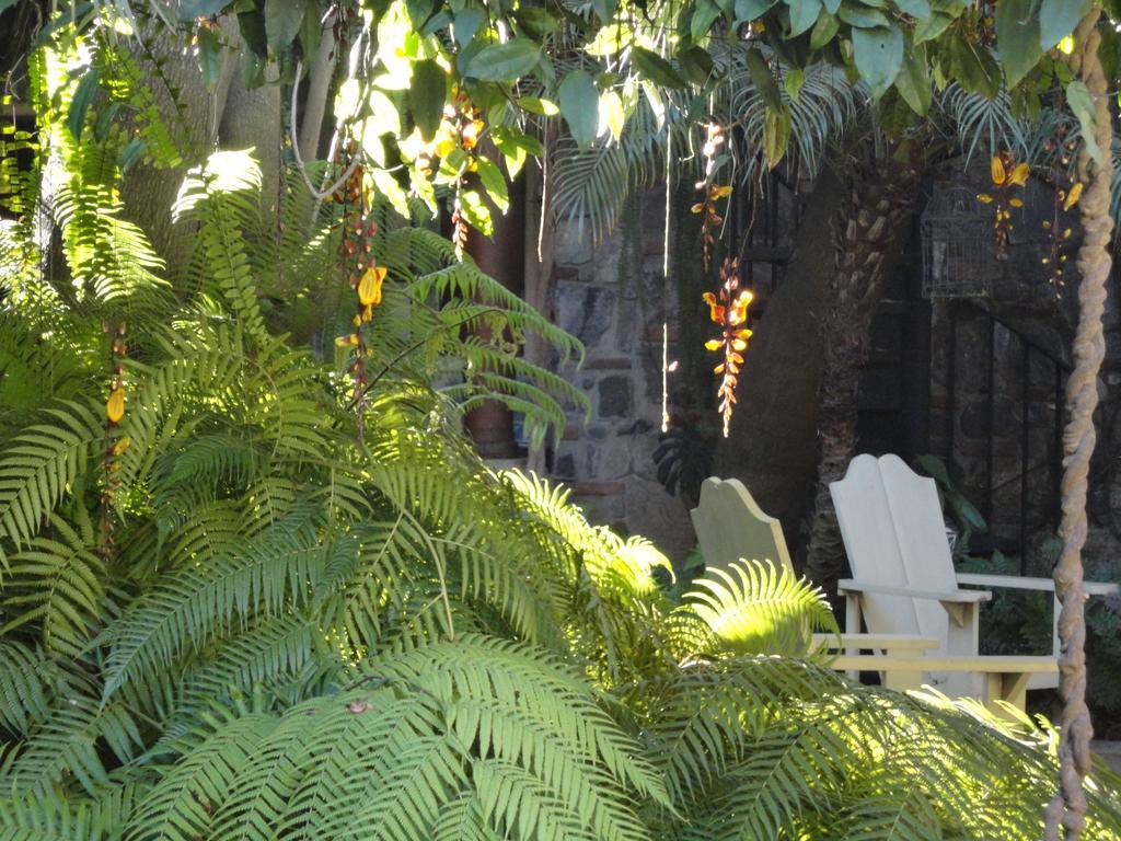 Cissus Hotel Boutique (Adults Only) Antigua Ngoại thất bức ảnh