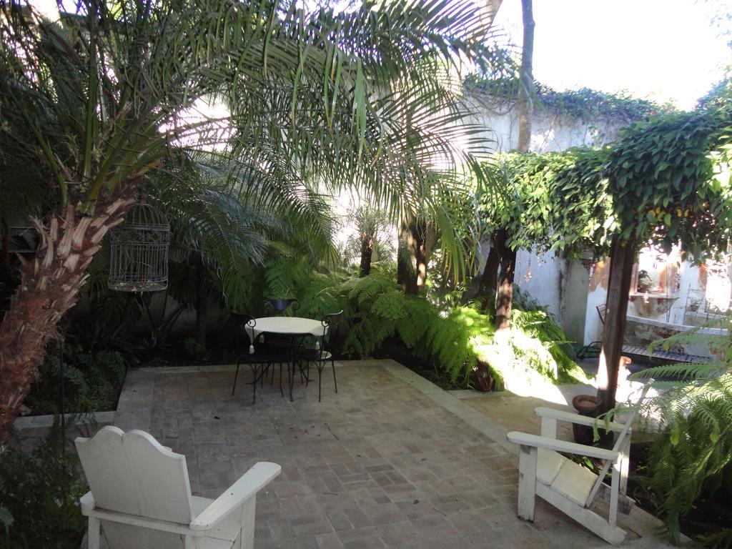 Cissus Hotel Boutique (Adults Only) Antigua Ngoại thất bức ảnh