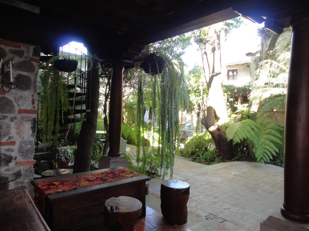 Cissus Hotel Boutique (Adults Only) Antigua Ngoại thất bức ảnh
