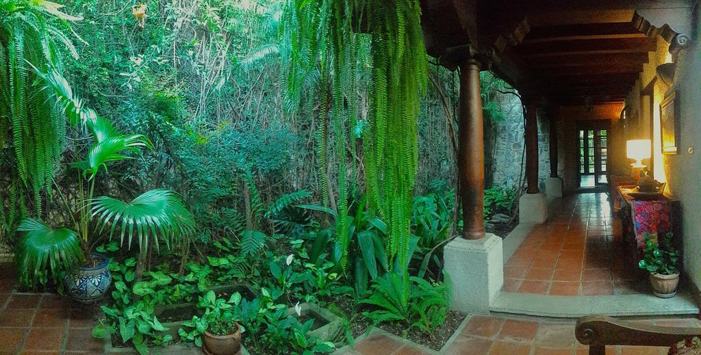 Cissus Hotel Boutique (Adults Only) Antigua Ngoại thất bức ảnh