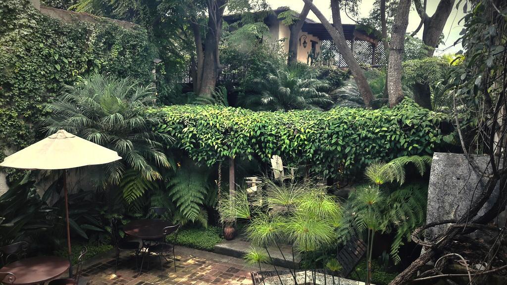 Cissus Hotel Boutique (Adults Only) Antigua Ngoại thất bức ảnh