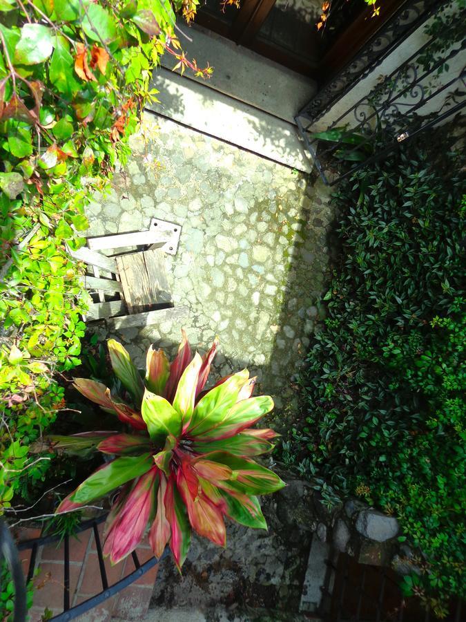 Cissus Hotel Boutique (Adults Only) Antigua Ngoại thất bức ảnh