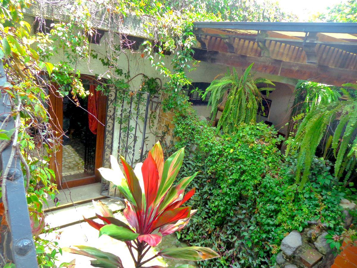 Cissus Hotel Boutique (Adults Only) Antigua Ngoại thất bức ảnh